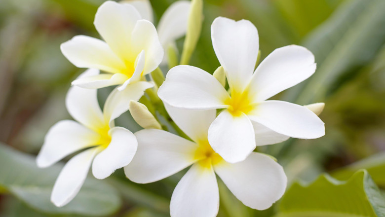 Verse of the Day | Feb. 13, 2025