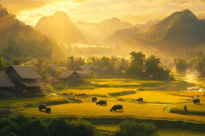 Versebp of the Day | March 17, 2025