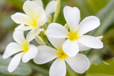 Verse of the Day | March 21, 2025