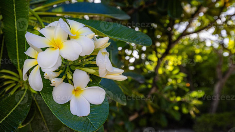 Verse of the Day | April 1, 2025