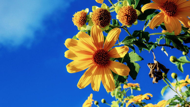 Verse of the Day | April 4, 2025