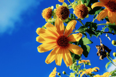 Verse of the Day | April 4, 2025