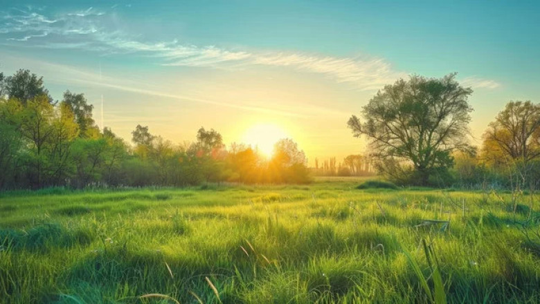 Verse of the Day | April 19, 2025