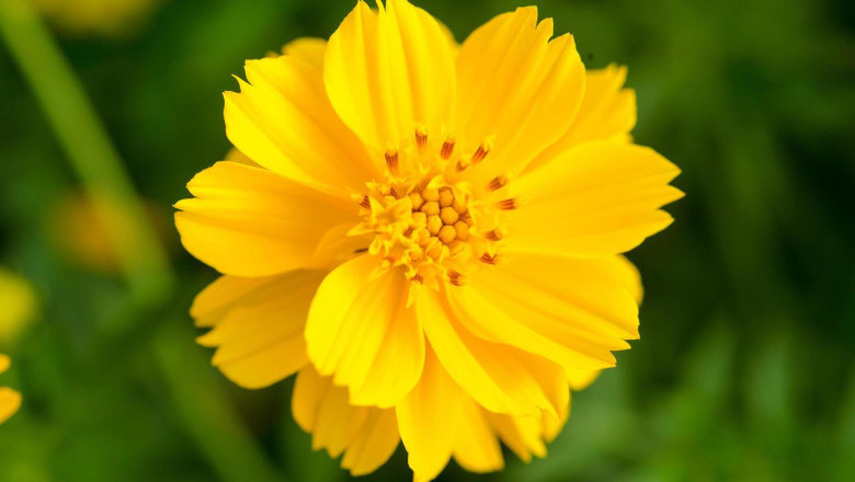 Verse of the Day | April 28, 2025