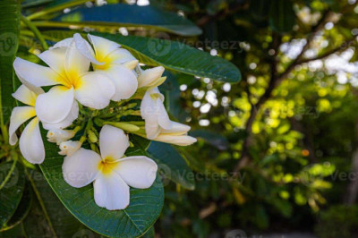 Verse of the Day | April 29,2025