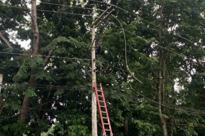 Survey: Super majority of people in DavNor, DavOro support Davao Light takeover