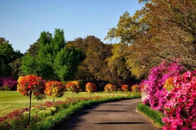 Verse of the Day | May 15, 2025