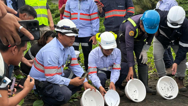 Therma South releases sea turtle hatchlings, highlights conservation efforts