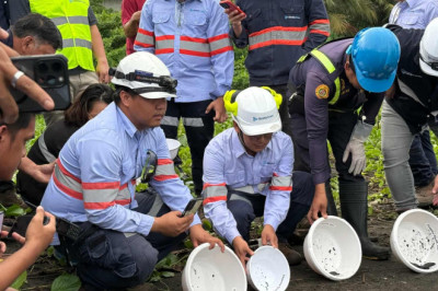 Therma South releases sea turtle hatchlings, highlights conservation efforts