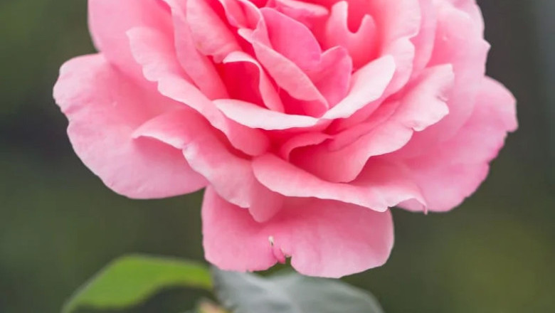 Verse of the Day | June 10, 2025