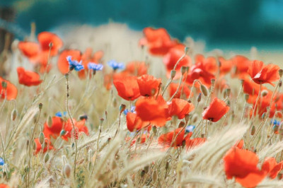 Verse of the Day | June 18, 2025