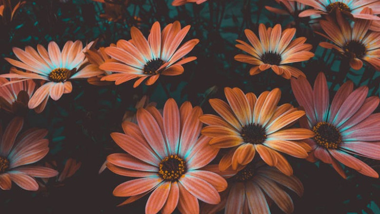 Verse of the Day | June 22,  2025