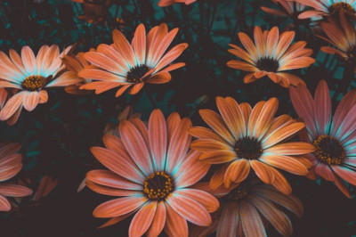 Verse of the Day | June 22,  2025