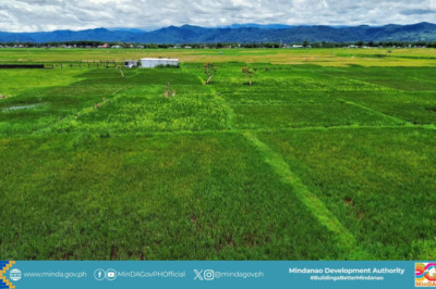 MinDA leads  turnover  of  𝗣𝟭𝟳.𝟰-M  𝗥𝗶𝗰𝗲 𝗣𝗿𝗼𝗰𝗲𝘀𝘀𝗶𝗻𝗴 𝗦𝘆𝘀𝘁𝗲𝗺 𝗶𝗻  𝗟𝗮𝗻𝗮𝗼 𝗱𝗲𝗹 𝗦𝘂𝗿 town