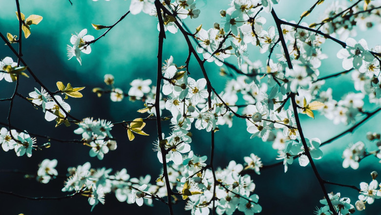 Verse of the Day | August 29, 2025