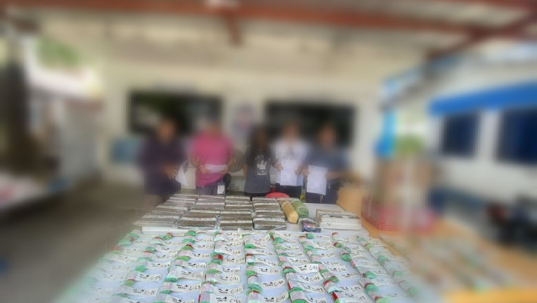 P12-M MARIJUANA,  GI-SURRENDER SA ESTUDYANTENG BABAYE