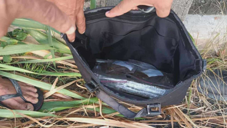 P1. 2-M KANTIDAD SA MARIJUANA GI-ABANDONA, GITUGYAN SA BRGY. TANOD