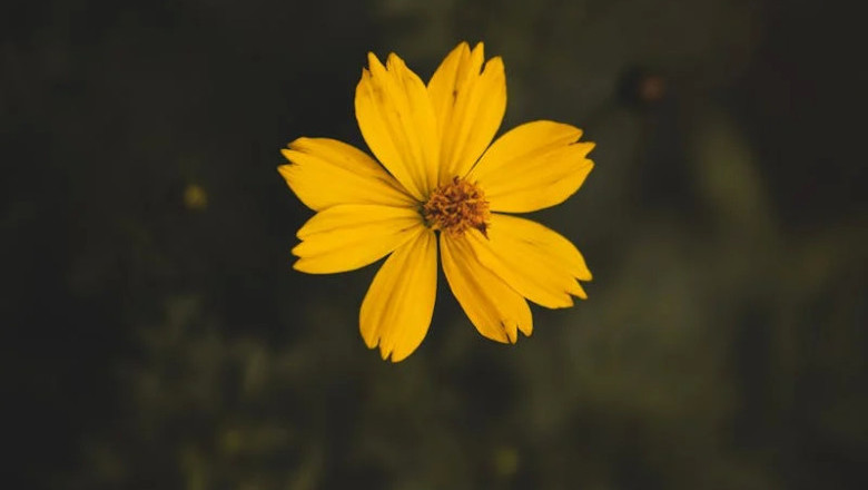 Verse of the Day | September 29, 2025