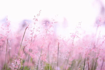 Verse of the Day | October 13, 2025