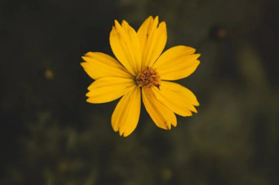 Verse of the Day | October 21, 2025