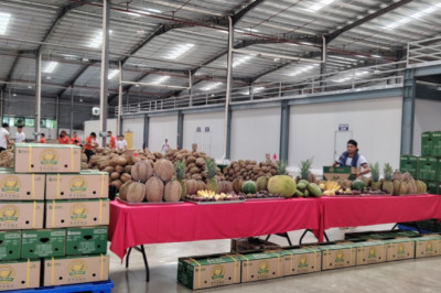 Durian Export Processing Factory sa Davao City, ibinida ng Chinese Embassy