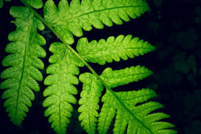 Verse of the Day | November 16, 2025