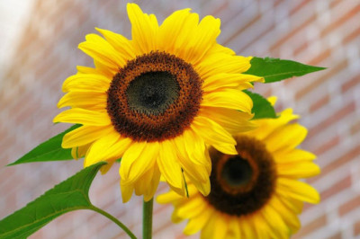 Verse of the Day | November 20, 2025