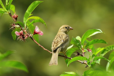 Verse of the Day | November 21, 2025