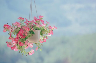 Verse of the Day | December 1, 2025