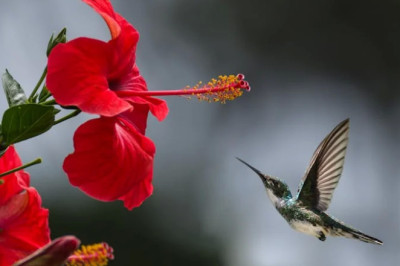 Verse of the Day | January 2, 2026