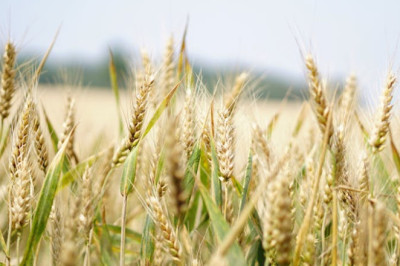 Verse of the Day | January 24, 2026