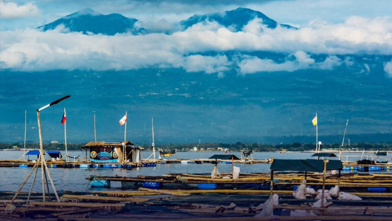 Davao City yields 3,123 metric tons of fish in 2025