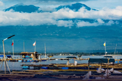 Davao City yields 3,123 metric tons of fish in 2025