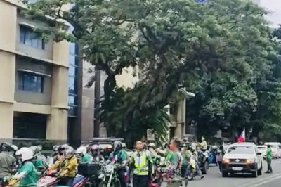 Nation Turns Green as Supporters Launch ‘Green Rise Action and Hope for 2028’