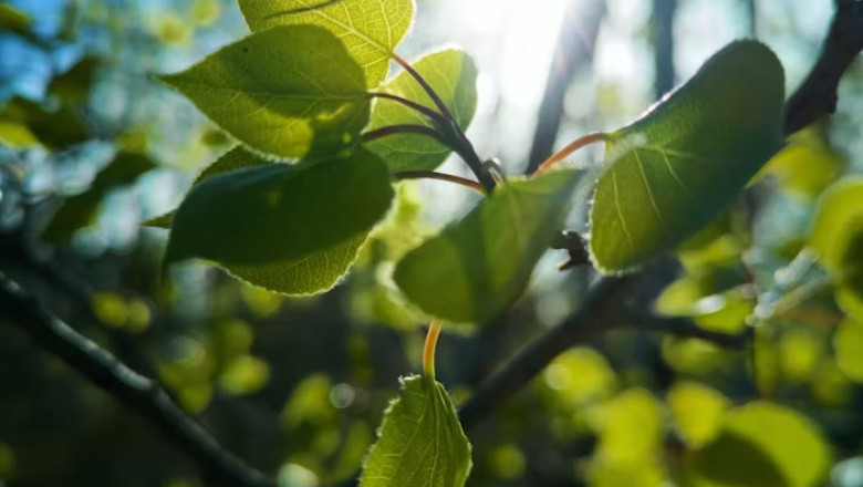 Verse of the Day | April 10, 2026