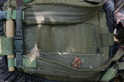 4ID's intensified operations weaken CTG remnants; neutralize NPA  leader, member in Surigao del Sur