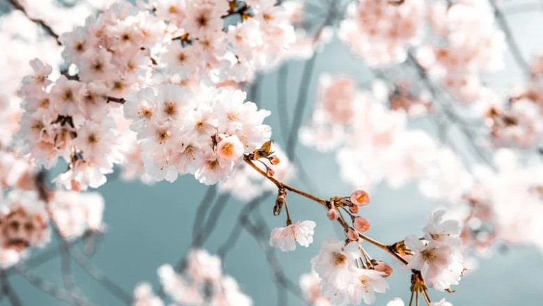 Verse of the Day | April 21, 2026