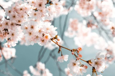 Verse of the Day | April 21, 2026