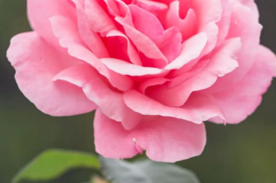 Verse of the Day | April 30, 2026