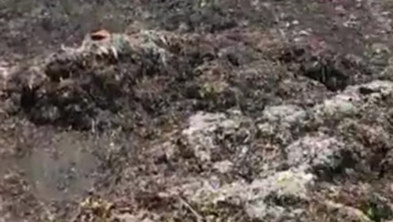 1 dead, 2 hurt, 2 senior citizens missing in Davao City landslide