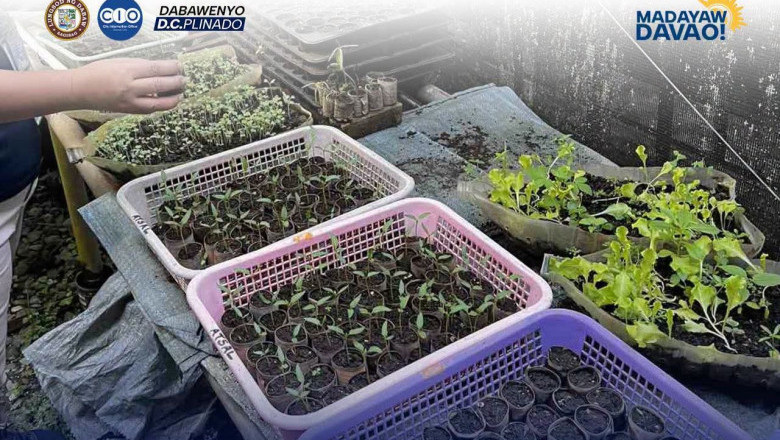 CAgrO invites Dabawenyos to experience organic urban farming