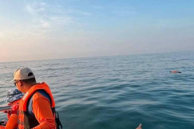 Four die  in separate drowning incidents in Davao Region