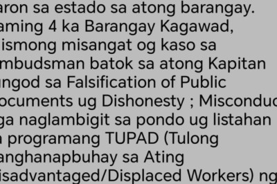 Kagawad Tinasas, nagpagawas ug pahayag labot sa suspension ni  barangay kapitan Liparanon sa Baliok