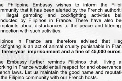 Philippine Embassy warns Filipinos in France against illegal cockfighting
