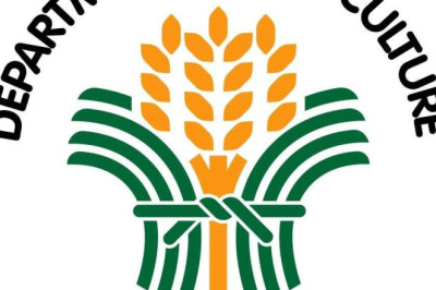 DA XI reports  ₱584.6-M agricultural losses due to  El Niño